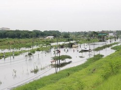 Banjir di Porong Makan Korban Jiwa Seorang Bocah SD