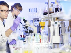 Dua Jalur Pengembangan Obat Herba di Indonesia