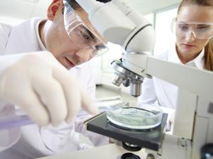 China dan Pakistan Dituding Sekongkol Bikin Senjata Biologi China dan Pakistan Dituding Sekongkol Bikin Senjata Biologi