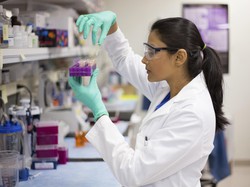 Donor Stem Cell Tidak Bisa Sembarangan, Ada Hal-hal yang Perlu Diperhatikan