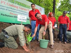 16 Ribu Bibit Bambu Ditanam untuk Selamatkan Mata Air Pegunungan
