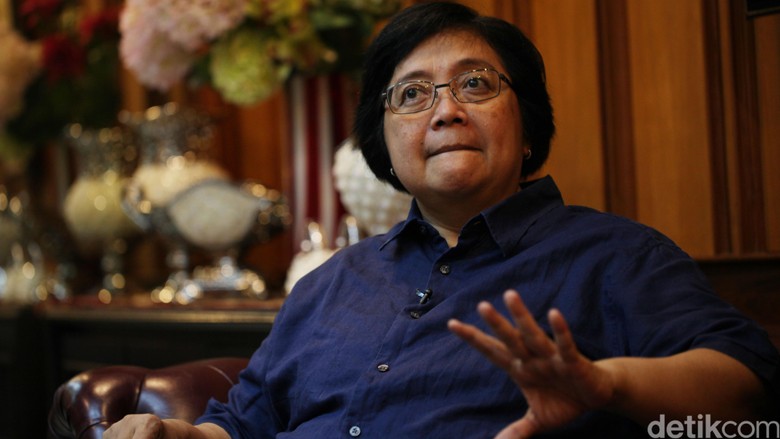 Menteri Siti: Riau, Kalbar dan Kalteng Siaga Darurat Kebakaran Hutan