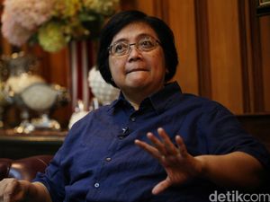Menteri Siti: Riau, Kalbar dan Kalteng Siaga Darurat Kebakaran Hutan