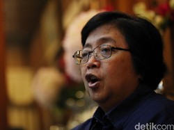 Pemerintah Berlakukan Siaga Darurat Kebakaran Lahan di 6 Provinsi