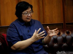 Menteri Siti Cek Kasus Gajah Yani dan Izin Kebun Binatang Bandung