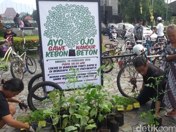 Berbagi Kasih Ala Anak Muda Yogya, Sebarkan Bibit Terong dan Cabe