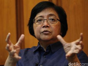 Menteri LHK: Harus Ada Rencana Strategis dalam Reklamasi Teluk Jakarta