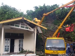 Pohon Beringin Besar Roboh Timpa Kantor Disbudpar Sleman, 3 Pegawai Terluka
