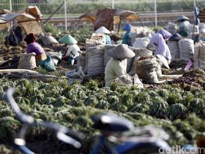 Diminta Mentan Serap Bawang Merah di Sumbar, Ini Respons Bulog
