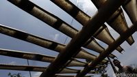 Mengintip Rumah Potong Ular di Cirebon