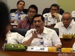 Luhut: LGBT Bentuk Penyimpangan, Tapi Sebagai WNI Mereka Berhak Dilindungi