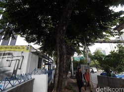 Tak Mau Ajak Swasta di Proyek ERP, Ahok: Supaya Tidak Seperti Kasus Sisminbakum