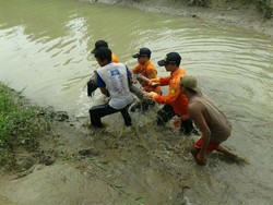 Bocah Bilqis yang Hanyut di Sungai Songgom Ditemukan Tewas dalam Lumpur