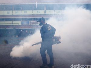 813 Orang Kena DBD di Jakarta, Pemprov Minta Jangan Asal Fogging