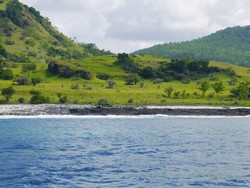 Cantik! Bukit Teletubbies di Pinggir Pantai Alor