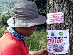 Tebang Pohon Rasamala di Gunung Pangrango, Warga Cianjur Dibui 1 Tahun