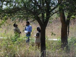 Macan Tutul Penyerang di India Lepas dari Kandang