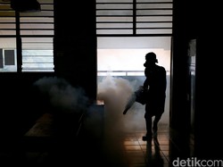 9 Bulan, Jumlah Kasus DBD di Mojokerto Cenderung Turun