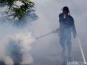 Pertempuran Melawan DBD di Ciamis Pertempuran Melawan DBD di Ciamis