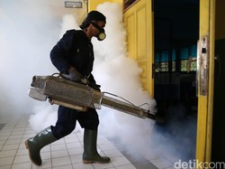 Bukti Terkuat Zika Sebabkan Penyakit Saraf Ditemukan Ilmuwan Prancis