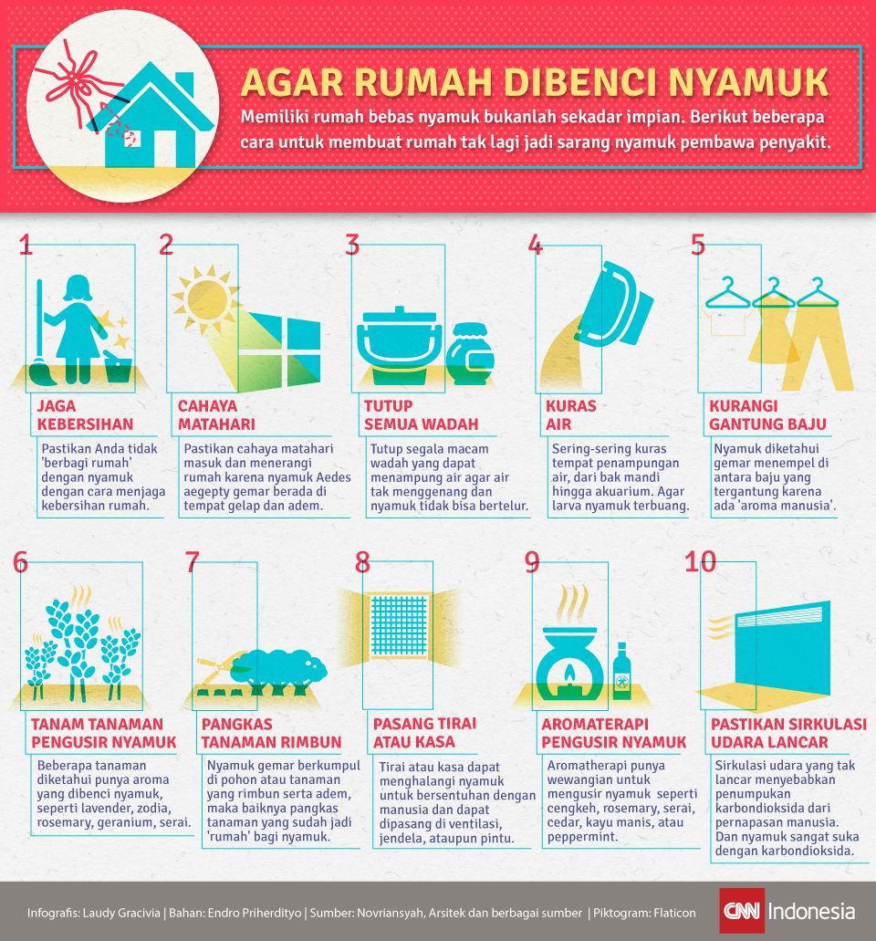 Infografis Agar Rumah Dibenci Nyamuk