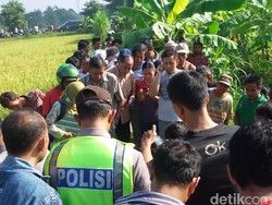 Mayat Dalam Kondisi Terluka Ditemukan di Sawah Gemparkan Warga Bantul