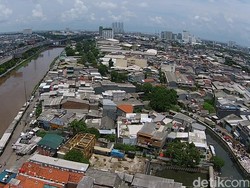 Ahok Minta Polisi Usut Tuntas Temuan Ratusan Anak Panah di Kalijodo