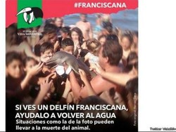 Dikecam! Warga Argentina Ambil Lumba-lumba dari Pantai untuk Diajak Selfie