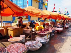 Peneliti Australia dan Indonesia Survei Kerawanan Pangan di Pulau-pulau Kecil