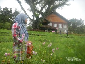 Wah, Bondowoso Juga Punya Taman Bunga Keren