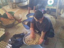 Melongok Bisnis Kacang Mete Beromzet Rp 200 Juta/ Bulan di Kendari