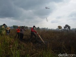 Bengkalis dan Meranti Riau Tetapkan Siaga Darurat Kebakaran Lahan