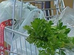 Kantong Plastik Mulai Berbayar, Masyarakat Setuju?