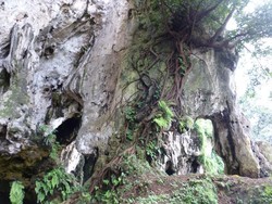 Pawon, Gua Bersejarahnya Orang Sunda