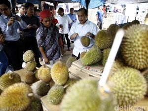 Ini Strategi Kementan Tingkatkan Ekspor Buah RI