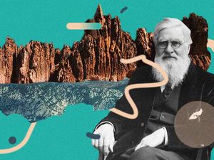 Kisah Alfred Russell Wallace, Ilmuwan Pertama yang Sadari Uniknya Hewan Papua Kisah Alfred Russell Wallace, Ilmuwan Pertama yang Sadari Uniknya Hewan Papua