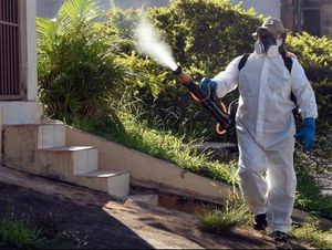 Musim Panas Ini Dikhawatirkan Virus Zika akan Masuk ke Eropa Musim Panas Ini Dikhawatirkan Virus Zika akan Masuk ke Eropa