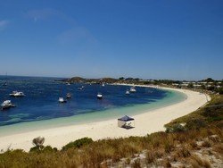 Rottnest, Pulau Penuh Pantai Eksotis di Australia Barat
