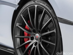 7 Tips Perawatan Si Karet Bundar