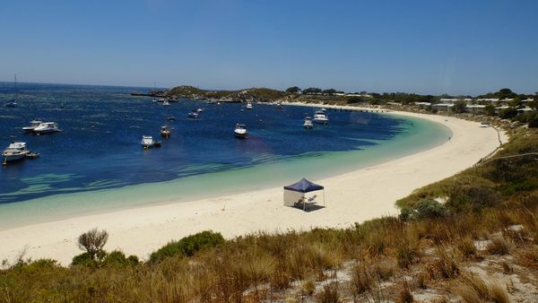 Deretan Pantai Cantik Bak Surga di Rottnest Island, Australia