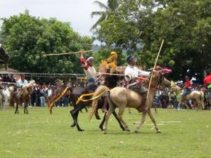 Pasola: Balap Kuda dan Festival Berdarah Khas Sumba