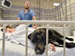 So Sweet! Anjing Penjaga Ini Setia Menemani Bocah Autis yang sedang Sakit