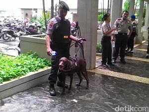 Razia Narkoba di Kalibata City Libatkan Anjing K9 BNN Razia Narkoba di Kalibata City Libatkan Anjing K9 BNN