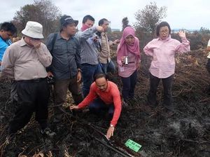 RI Bisa Belajar ke Malaysia Tangani Kebakaran Lahan Gambut RI Bisa Belajar ke Malaysia Tangani Kebakaran Lahan Gambut