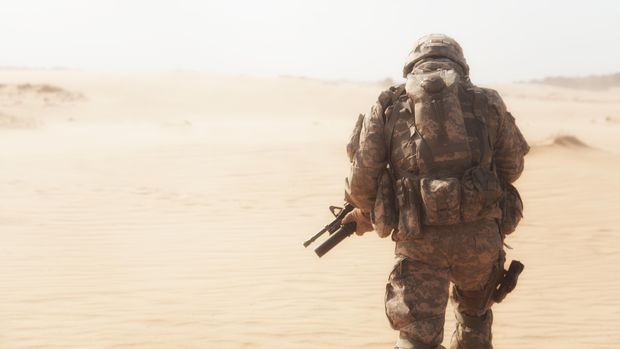 Desert storm, Tentara Gurun