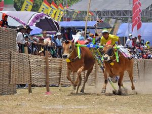 5 Olahraga Tradisional Masyarakat Jawa Timur
