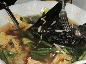 Surat Al Maidah Ayat 3 Atur Makanan Halal dan Haram, Sup Kelelawar Masuk yang Mana?