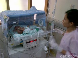 Tolong! Bayi Kembar Siam Dada dan Perut di Semarang ini Butuh Bantuan