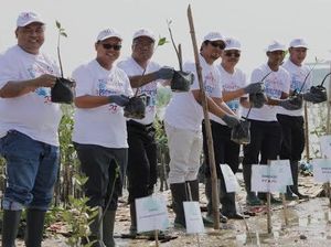 2.700 Mangrove Ditanam di Pulau Galang