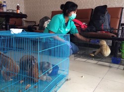 Aktivis: Hukum Berat Pelaku yang Menjual dan Menyimpan Hewan Dilindungi